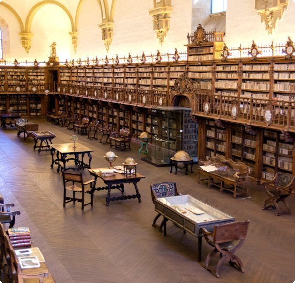 Sala con estanterías repletas de libros que representa la formación académica, el estudio y la especialización en neurología de la Dra. María Dolores Calabria.